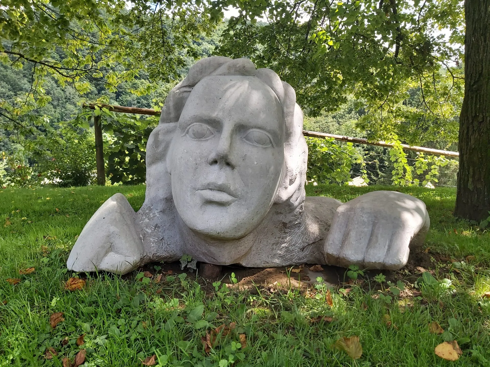 Stone sculpture of a face and hands emerging from the grass under a tree — part of the Forma Viva sculpture path.