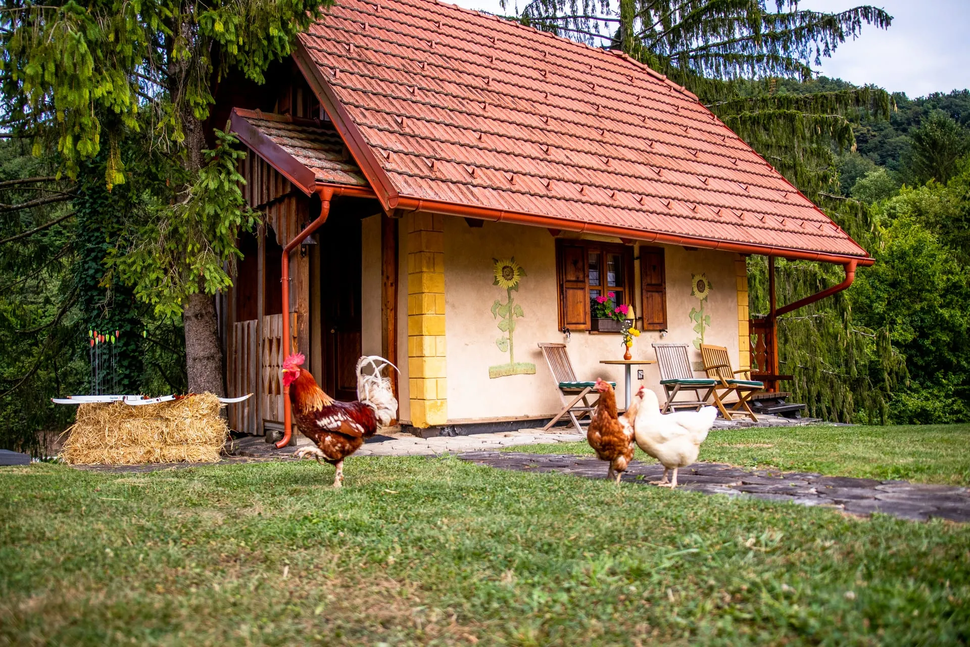 Pastirski stan from the outside — wooden balcony, painted flowers on the clay walls, set among trees.